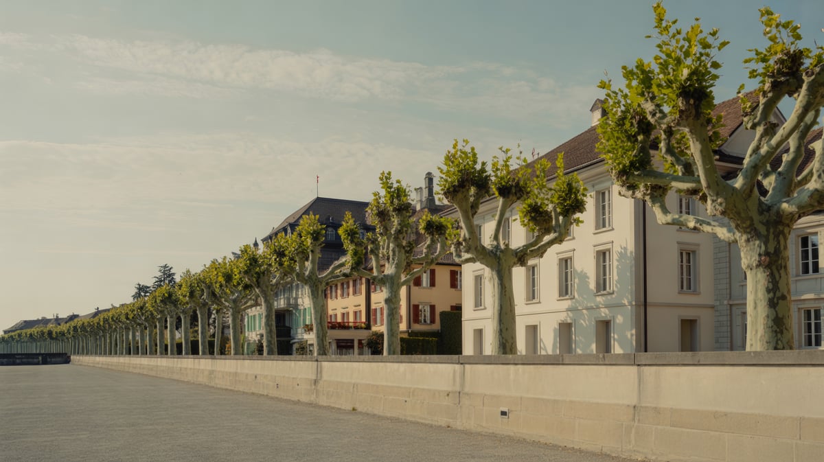Platanenallee am Seeufer mit historischen Residenzen in der Westschweiz