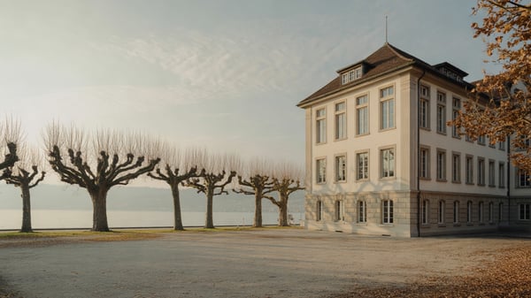 Historisches Schulhaus mit Platanen über dem Zürichsee