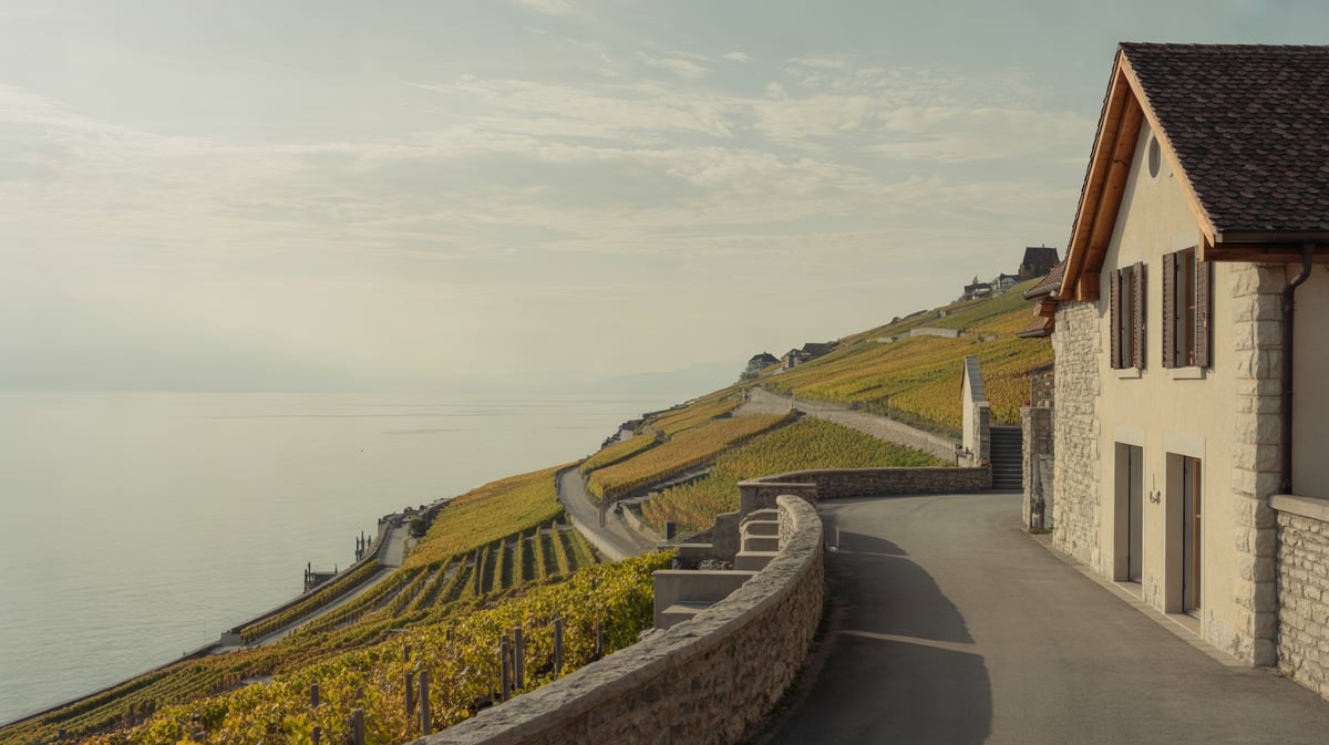 Weinbergterrassen des Lavaux über dem Genfersee